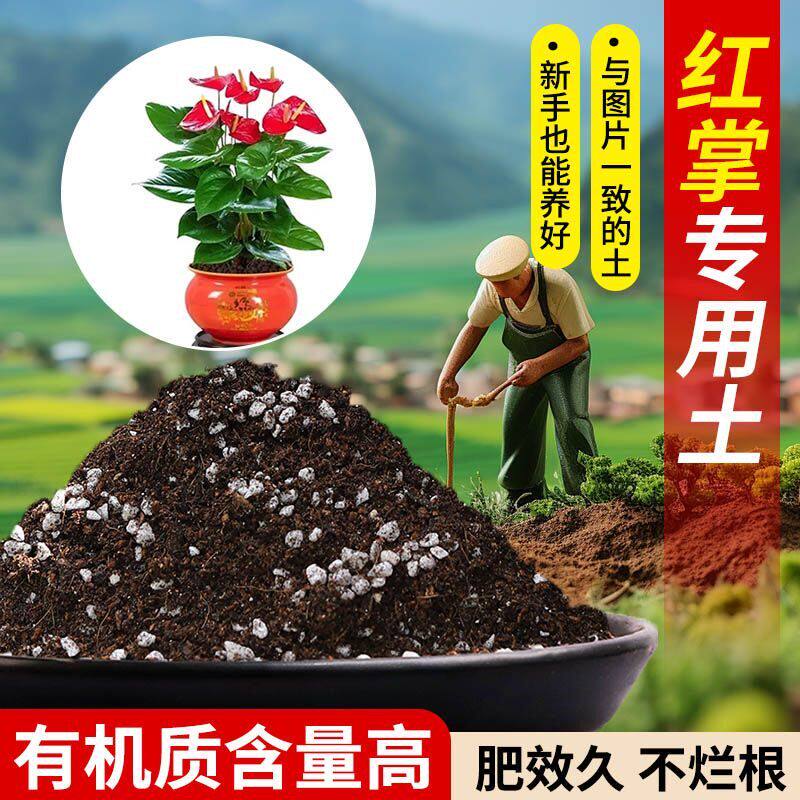 红掌专用营养土疏松透气含泥炭肥料通用有机种植土轻质土壤