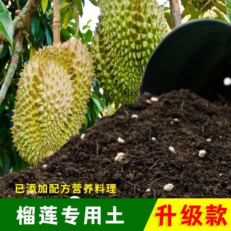 榴莲专用土有机土肥料家用种植土榴莲营养土盆栽养花通用土壤包邮