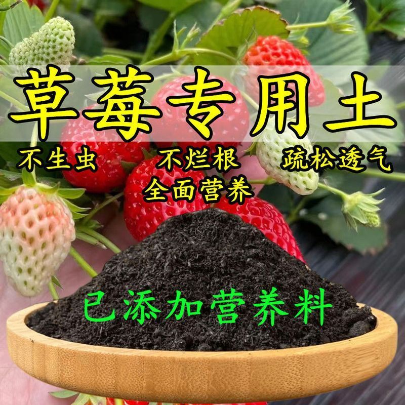草莓专用土草莓专用营养土盆栽土养花种花土通用种植土壤有机肥料