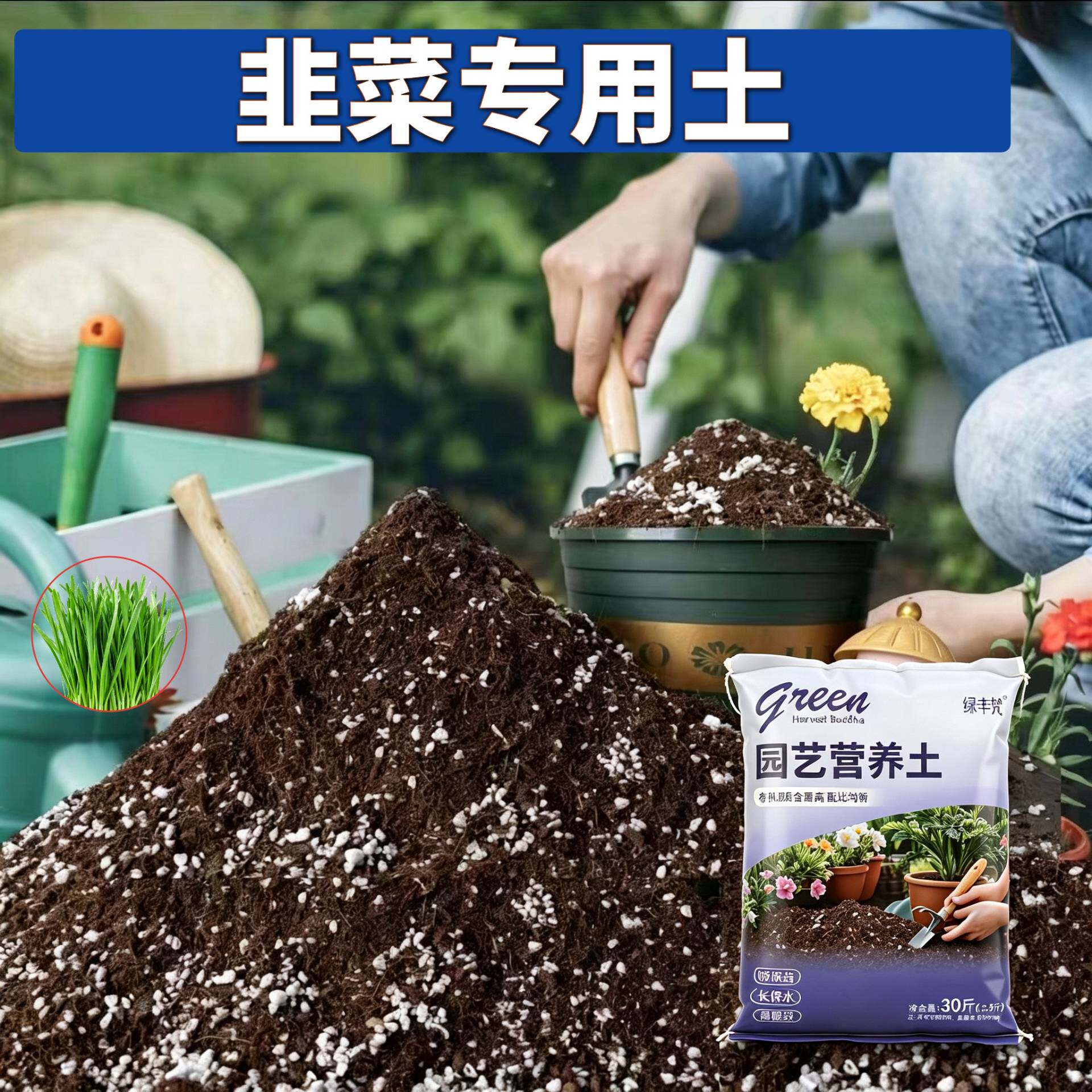 韭菜适用泥炭土不闷根根壮苗好阳台加深生根粉有机绿叶观花盆景