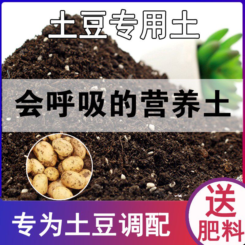 土豆专用土家用种菜种植肥料土有机土壤阳台蔬菜盆栽土土豆营养土