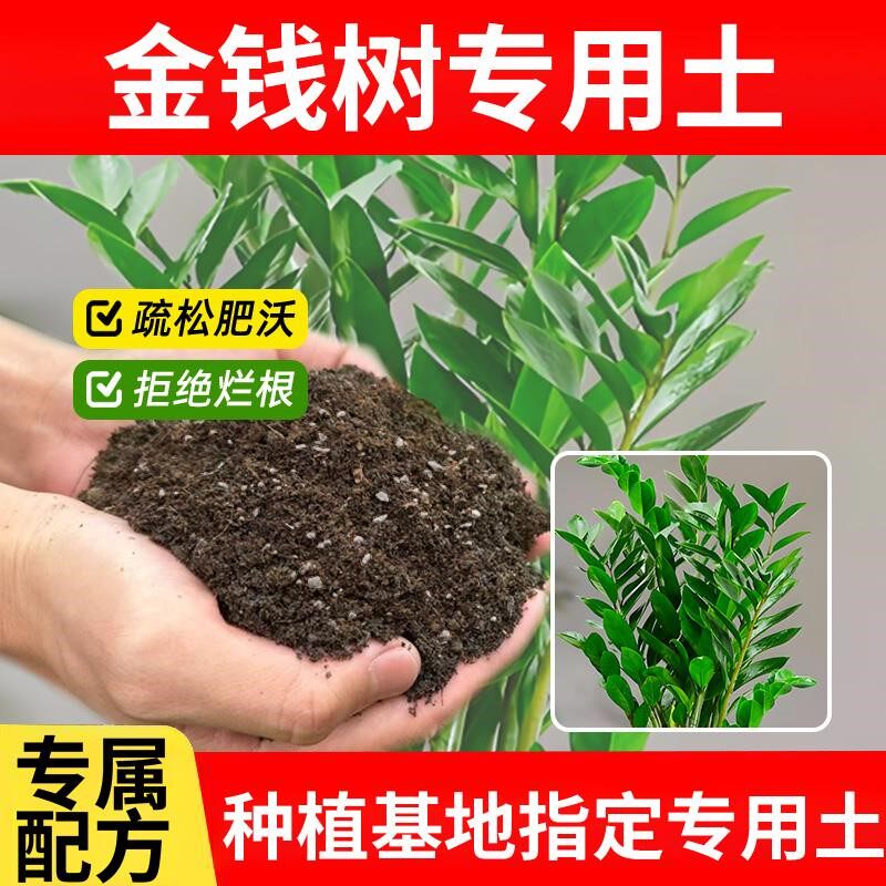 金钱树专用土金钱树专用营养土泥土家庭椰砖园艺蓬松绿植发酵疏松