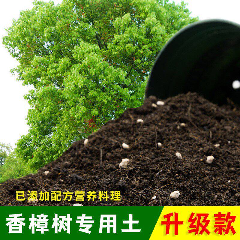 香樟树专用土有机土肥料家用种植土香樟树营养土盆栽养花通用包邮