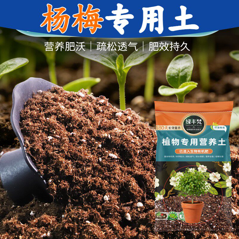 杨梅适用轻质基质土根壮苗好种植土不易粉化舒缓根系试用装球根