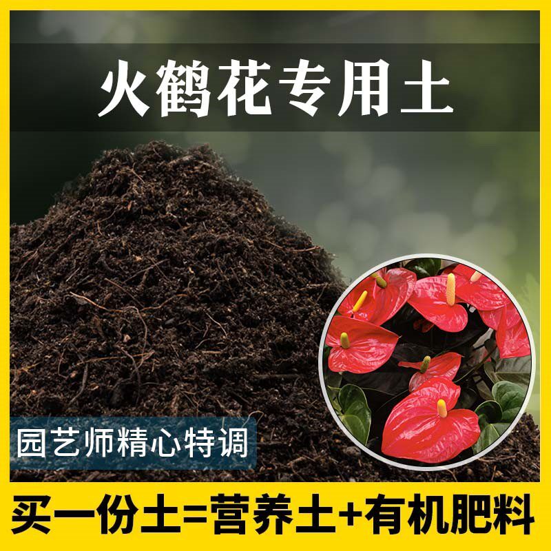 火鹤花专用土肥料家庭种花盆栽土火鹤花营养土花卉泥土养花种植土