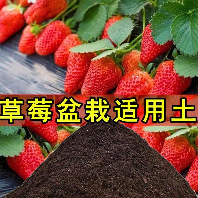 草莓种植土草莓专用土营养土盆栽土室内育苗土壤有机土微酸性土壤