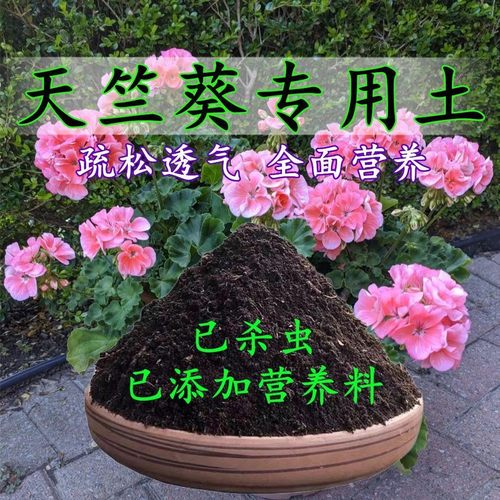 天竺葵专用土天竺葵土盆栽营养土酸性沙质泥碳土壤绿植种植土肥料