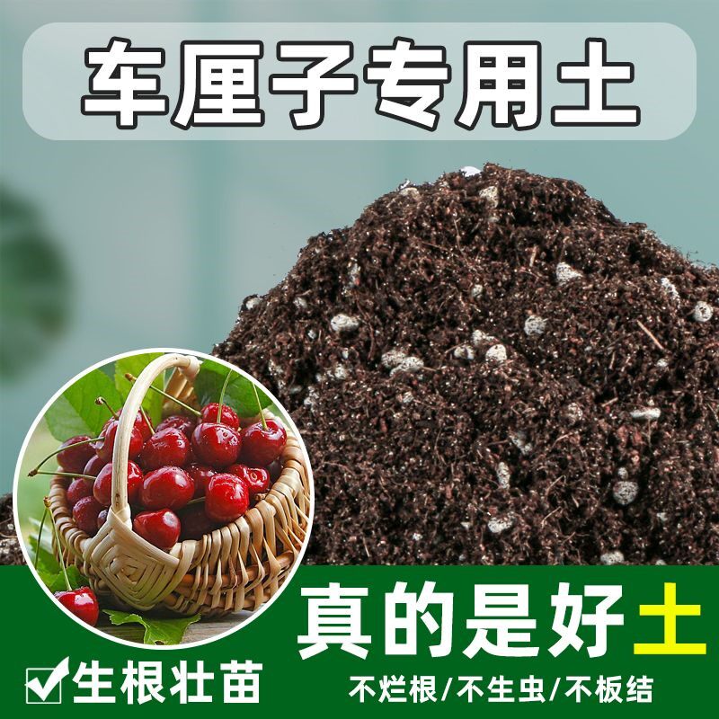 仙人掌专用土多肉颗粒土种植土养花营养土花土种花土壤盆栽花泥
