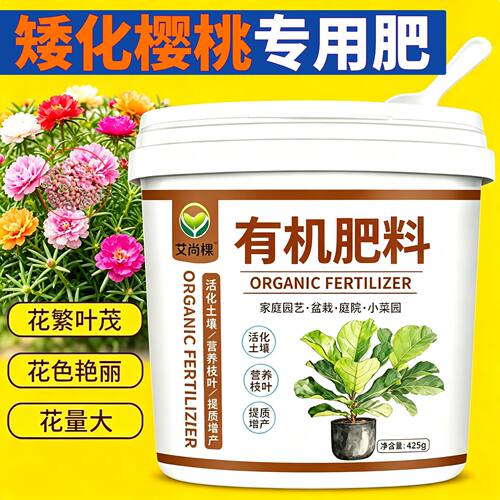 矮化樱桃适用肥缓释颗粒肥促开花缓释长效园艺阳台底肥平衡肥室内