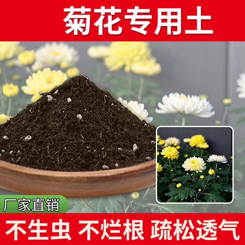 菊花专用土种植土花盆花草盆栽专用土发酵花肥养花疏松椰砖栽培土
