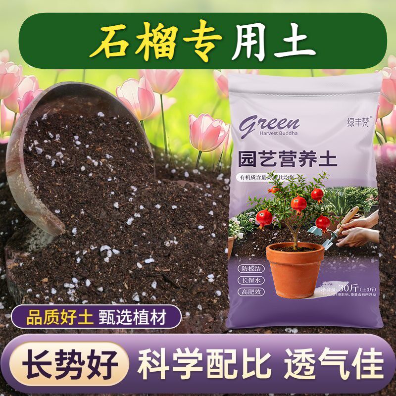 石榴专用基质保水锁肥室内包邮进口壮根观花轻质土喜酸高温灭菌