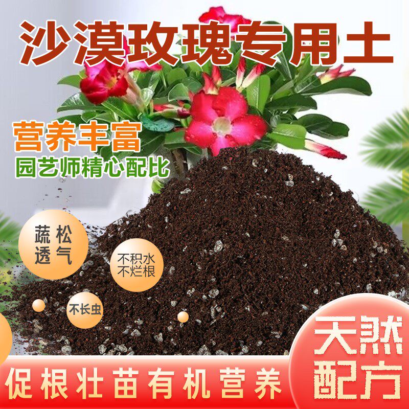 沙漠玫瑰专用土盆栽土专用营养土养花专用通用花卉土壤肥料种植土