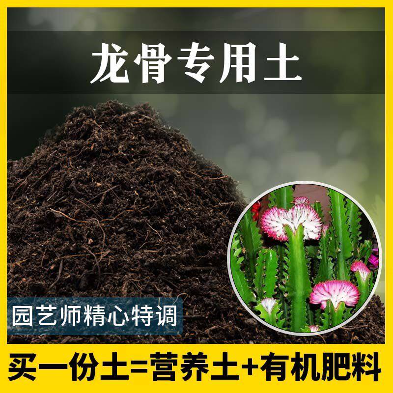 龙骨专用土家用养花肥料有机土壤种植土龙骨营养土植物种花盆栽土
