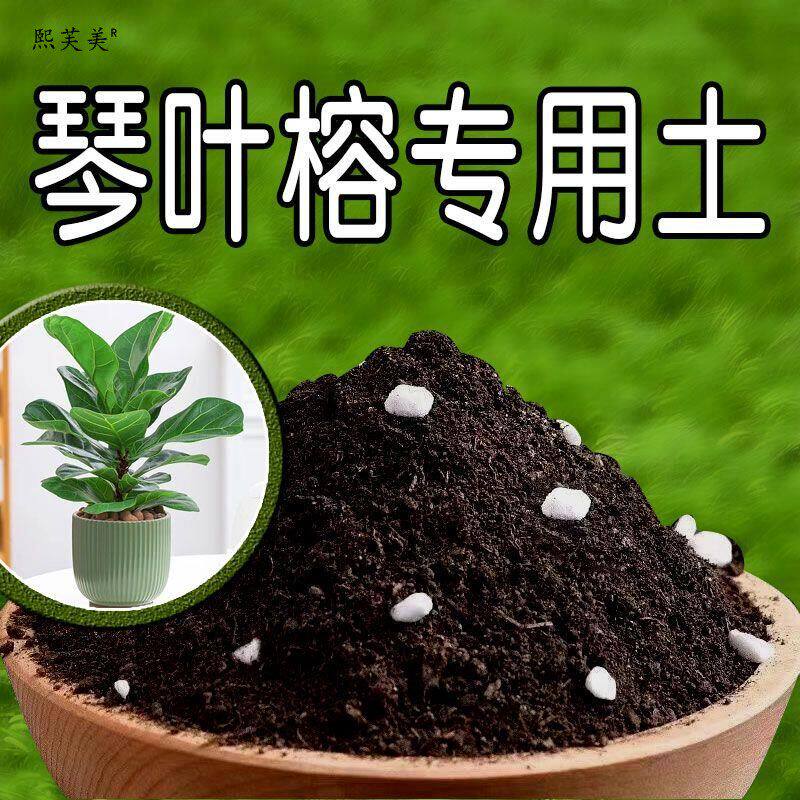 琴叶榕专用土琴叶榕营养土有机土壤绿植家用盆栽养花种花土种植土