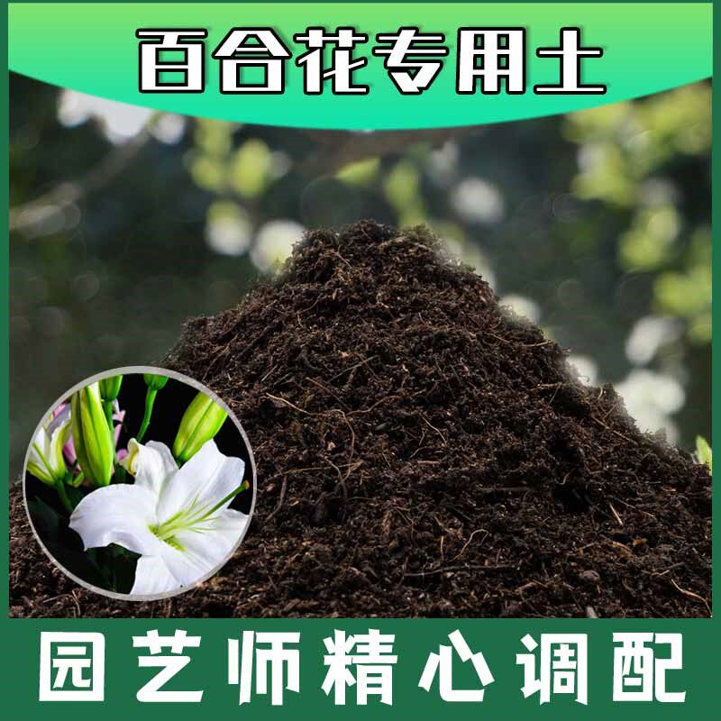 百合花专用土腐殖土种花养花盆栽绿植土百合花营养土种植有机土壤