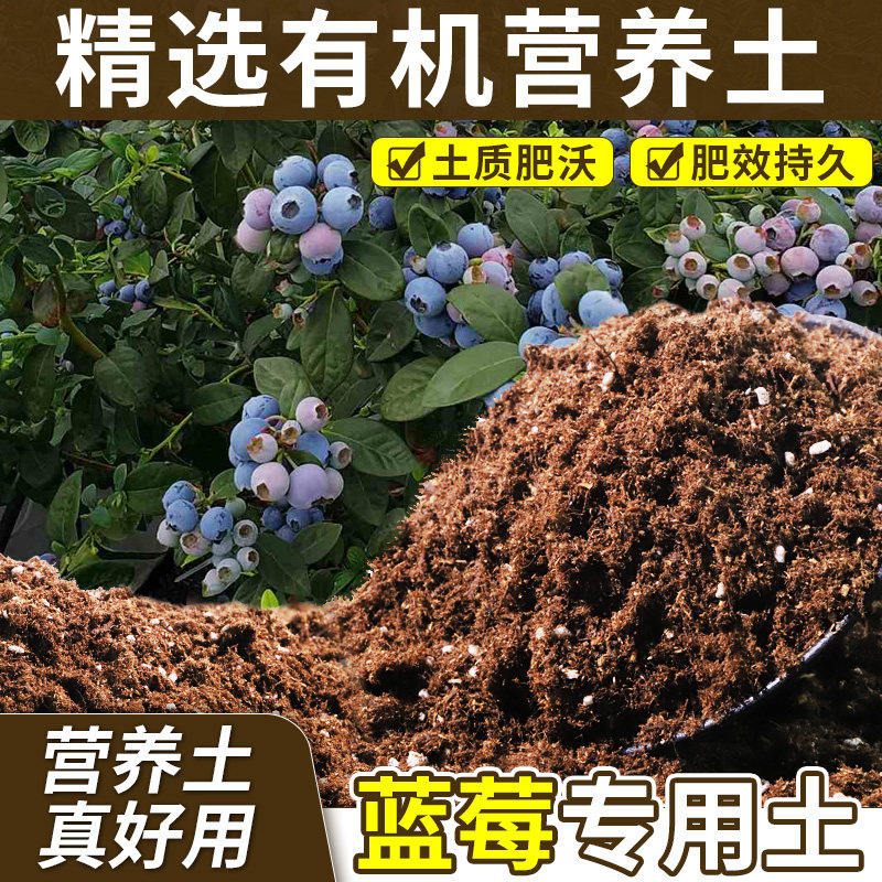 蓝莓专用轻质有机土种植土根壮苗好不烧根不烧苗盆栽土无菌多肉