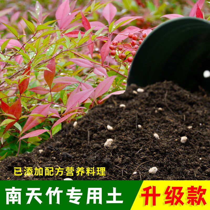南天竹专用轻质基质土不烧根不烧苗室内扦插盆栽土进口观叶育苗