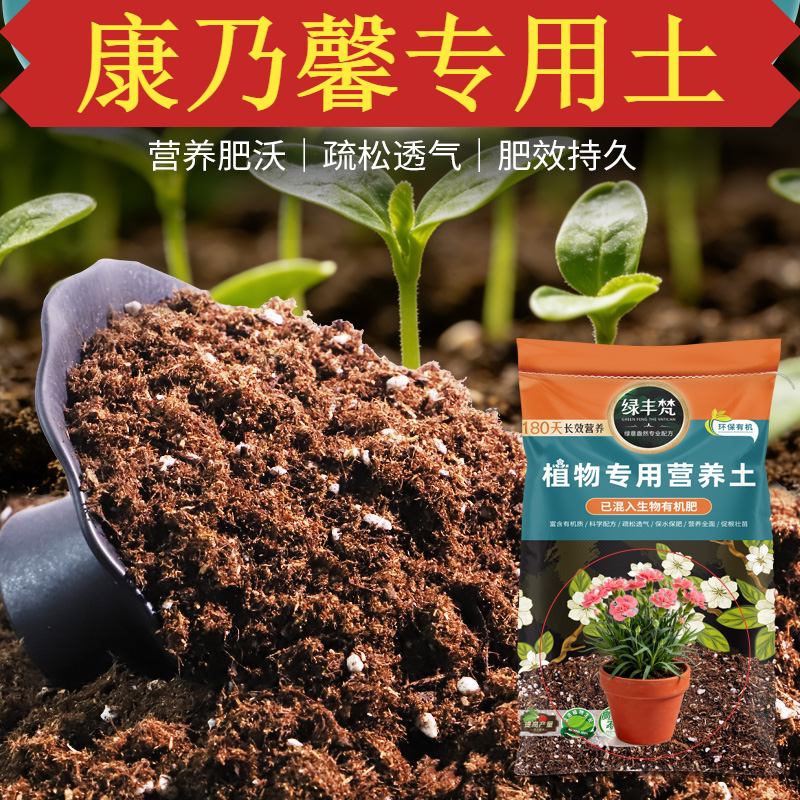 康乃馨适用植料腐殖土干湿循环好屋顶营养土基质土阳台不板结壮根