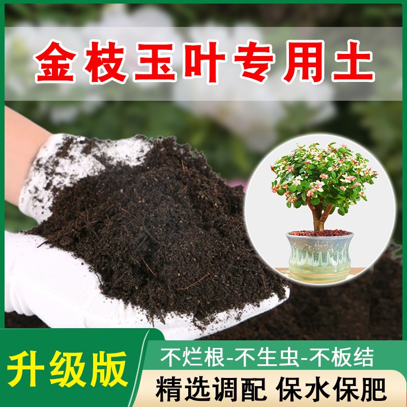金枝玉叶专用土银杏木马齿苋树营养土有机肥料花土壤盆栽种植泥土