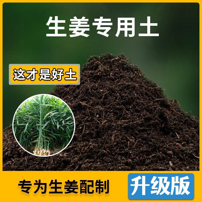 生姜专用土生姜营养土家用种植土壤家庭盆栽种花养花绿植有机土