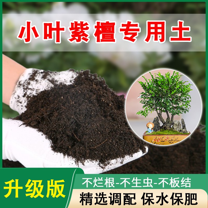 小叶紫檀专用土紫檀营养土盆栽配方透气泥土壤养花种植土通用肥料