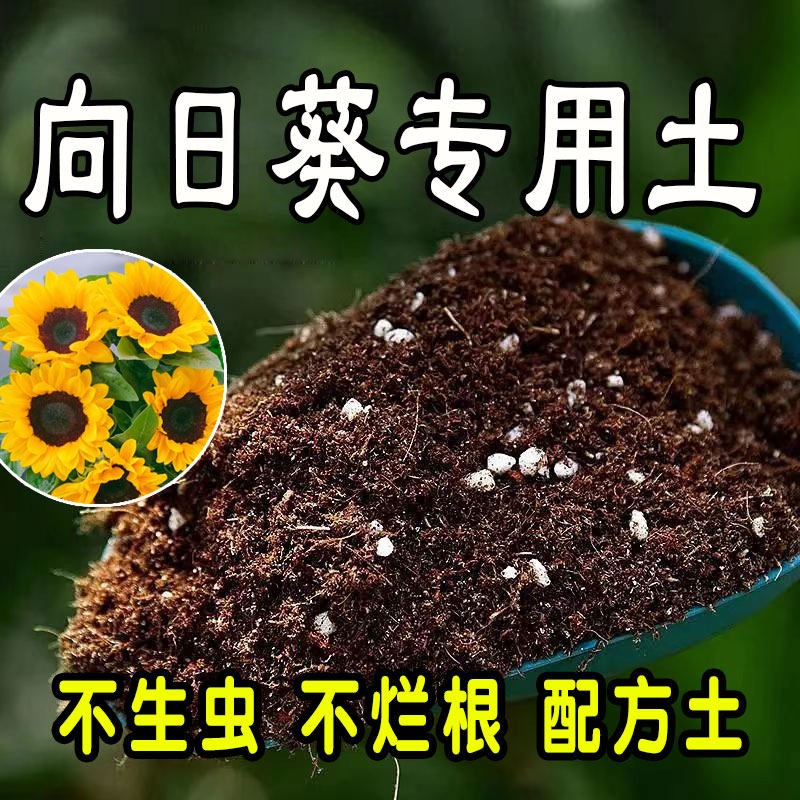 【向日葵专用土】营养土家庭盆栽绿植室内植物肥料种植土