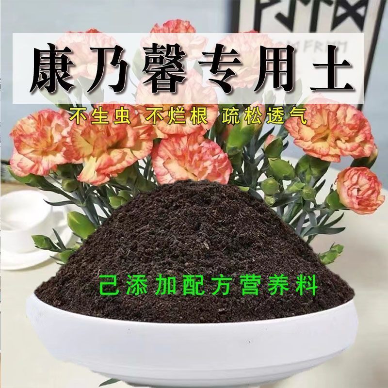 康乃馨专用土有机花土种花康乃馨营养土壤养花通用种植土透气肥料