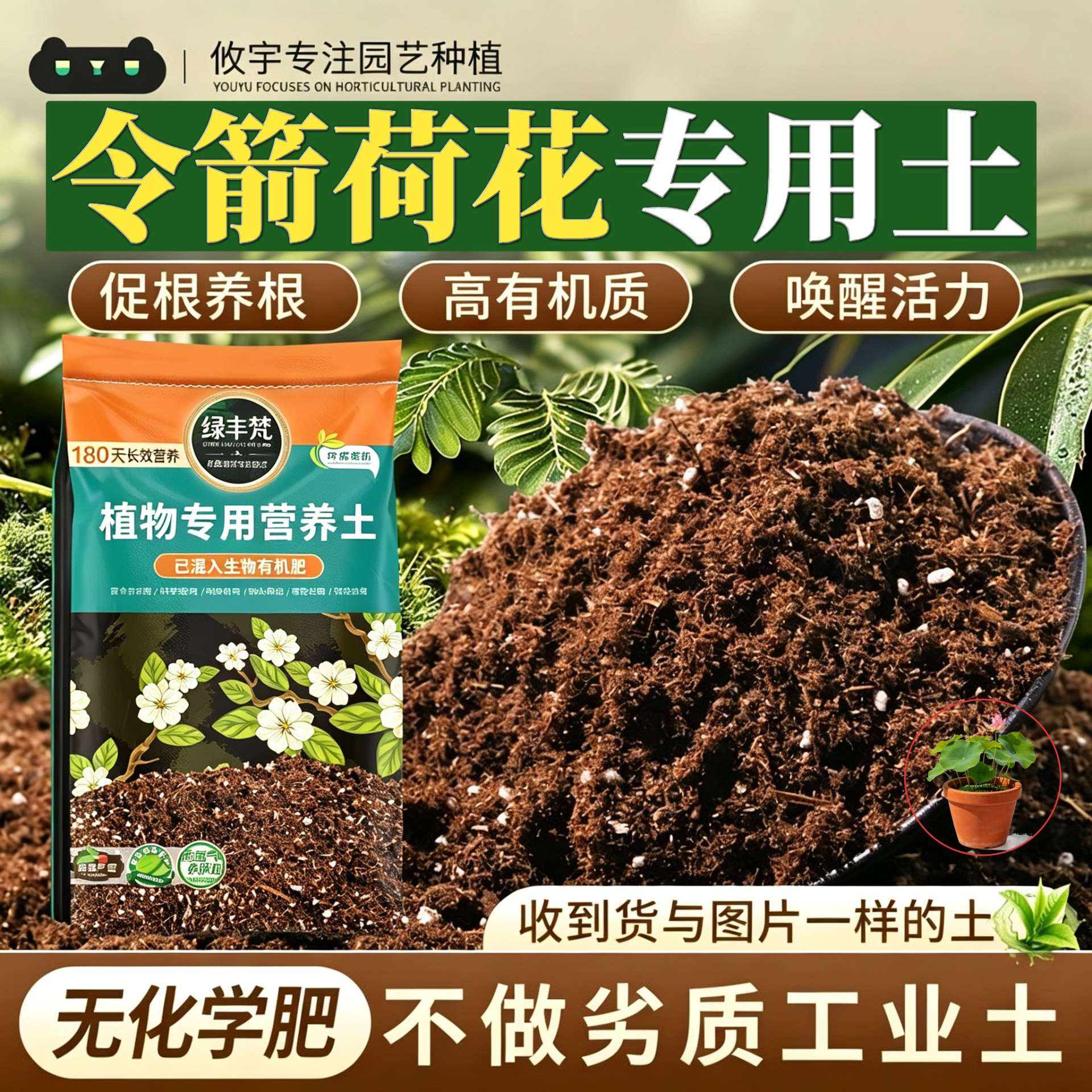 令箭荷花专用园艺土家庭适用盆栽土配比科学缓释营养试用装球根