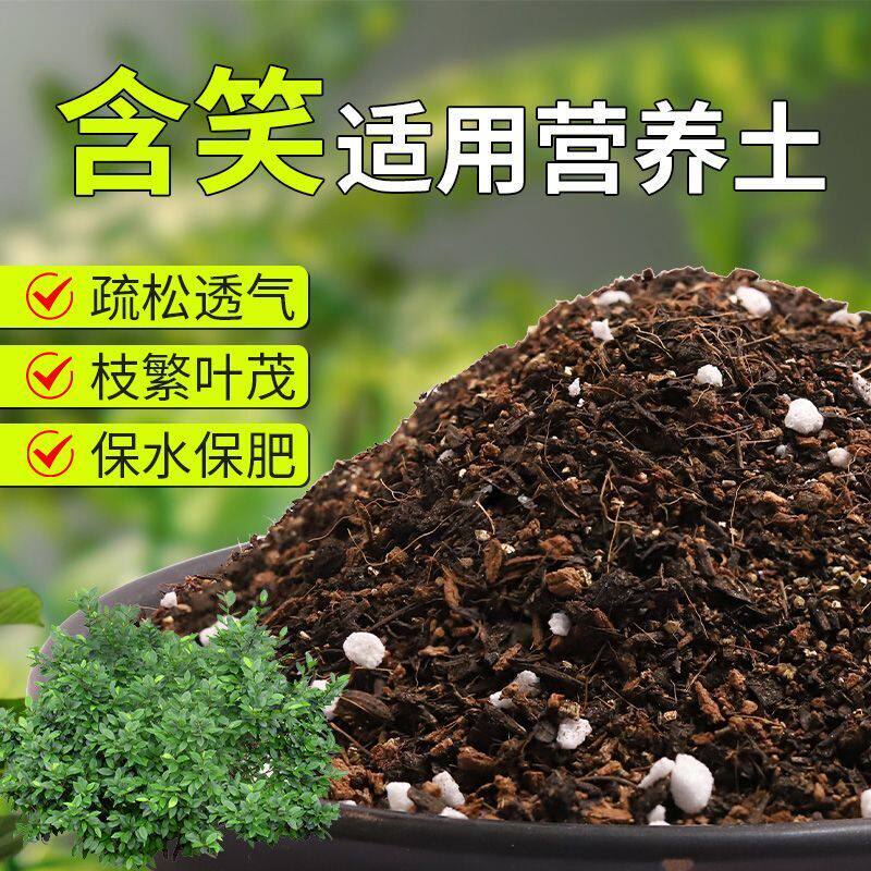 【含笑专用土】疏松透气盆栽绿植专用园艺室内植物有机营养土肥料