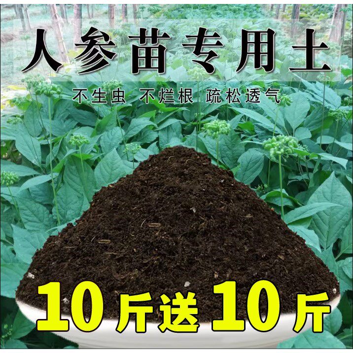 人参苗专用土人参苗土种植土壤营养土盆栽种花泥土透气通用养花土