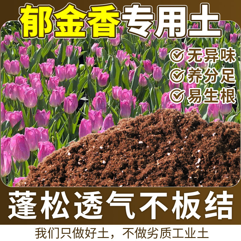 郁金香专用营养土腐殖土根壮苗好绿叶屋顶配方土泥炭土盆栽促生长