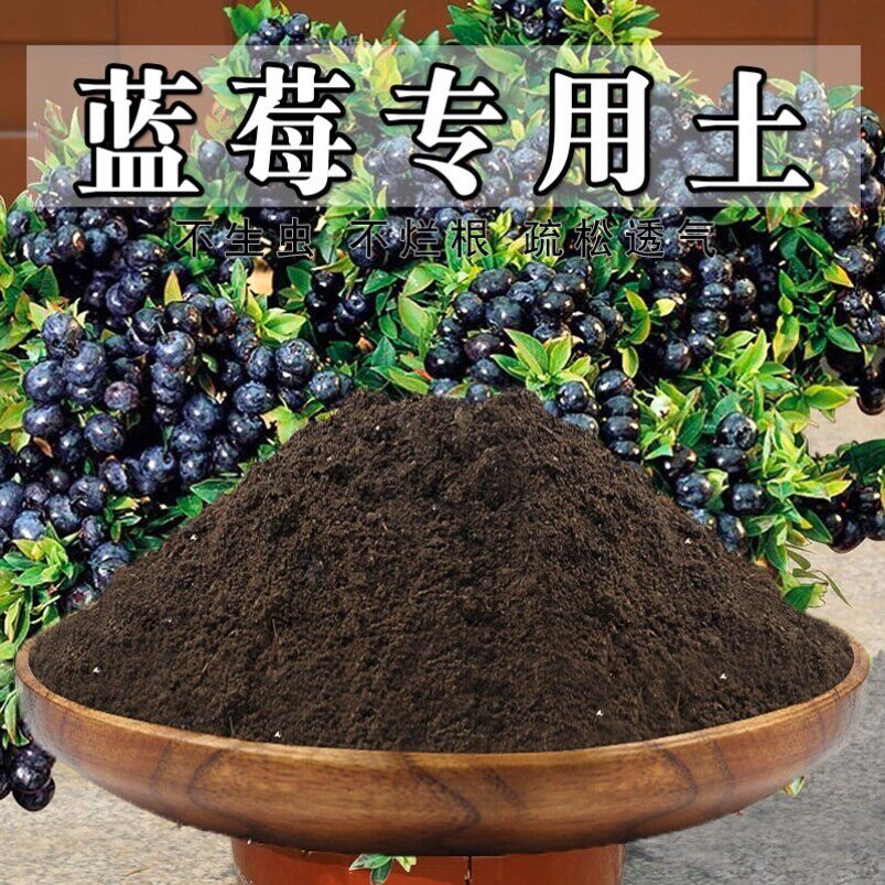 蓝莓专用土通用疏松泥土有机种树水果种植育苗蓝莓营养土透气家庭