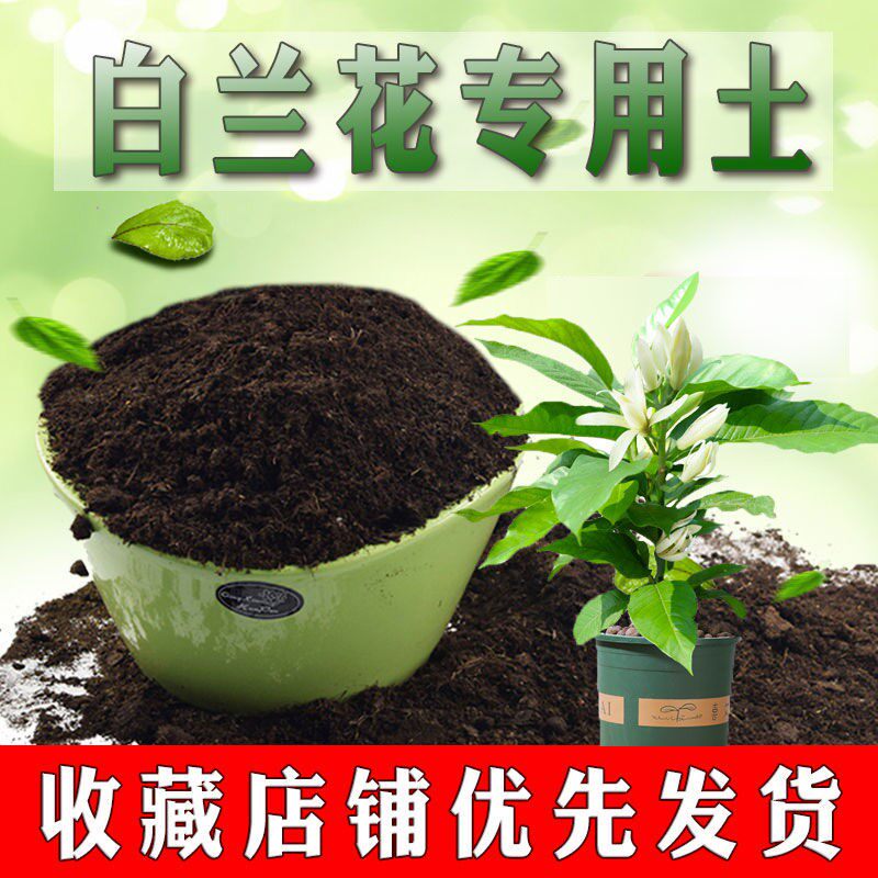 白兰花专用土白玉兰土盆栽通用营养土养花土室内种花卉泥土种植土
