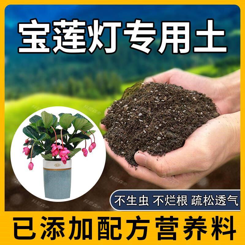 宝莲灯专用土肥料宝莲灯花营养土花盆阳台蓬松育苗花土绿植花草土