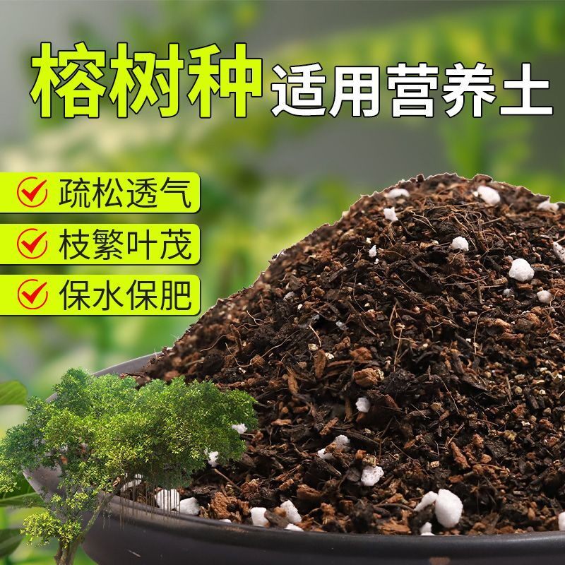【榕树种专用土】疏松透气盆栽绿植专用室内植物有机营养土肥料