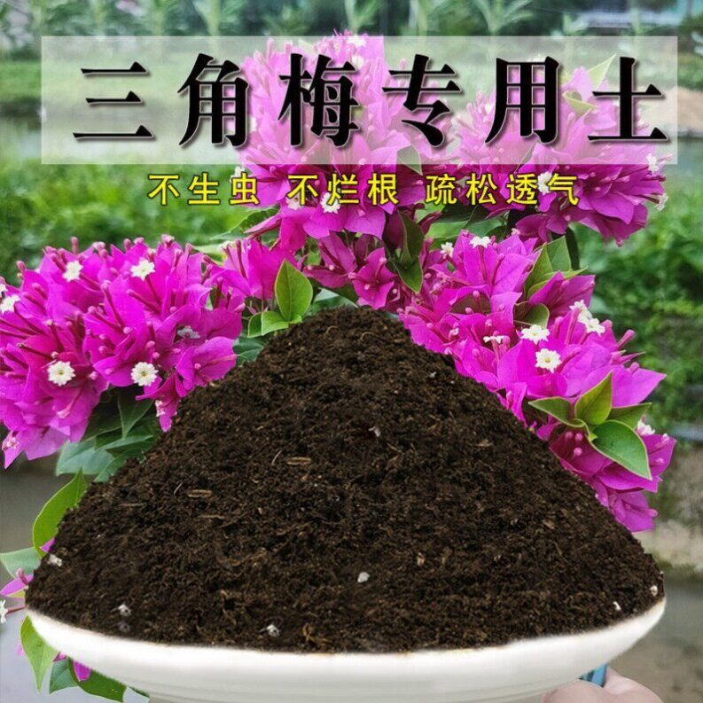 三角梅专用土椰砖花园肥料家庭透气三角梅营养土阳台有机肥种花土图片