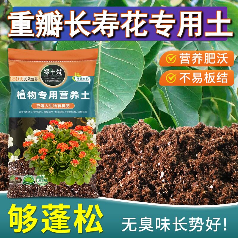 重瓣长寿花专用园艺土温和基质种植土洁净基质提升排水实惠装喜酸