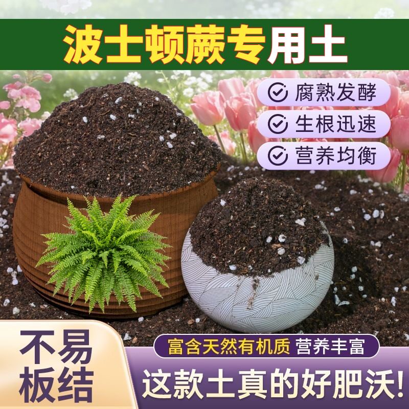 波士顿蕨适用营养土高温灭菌盆栽包邮精选绿叶喜酸基质木本扦插