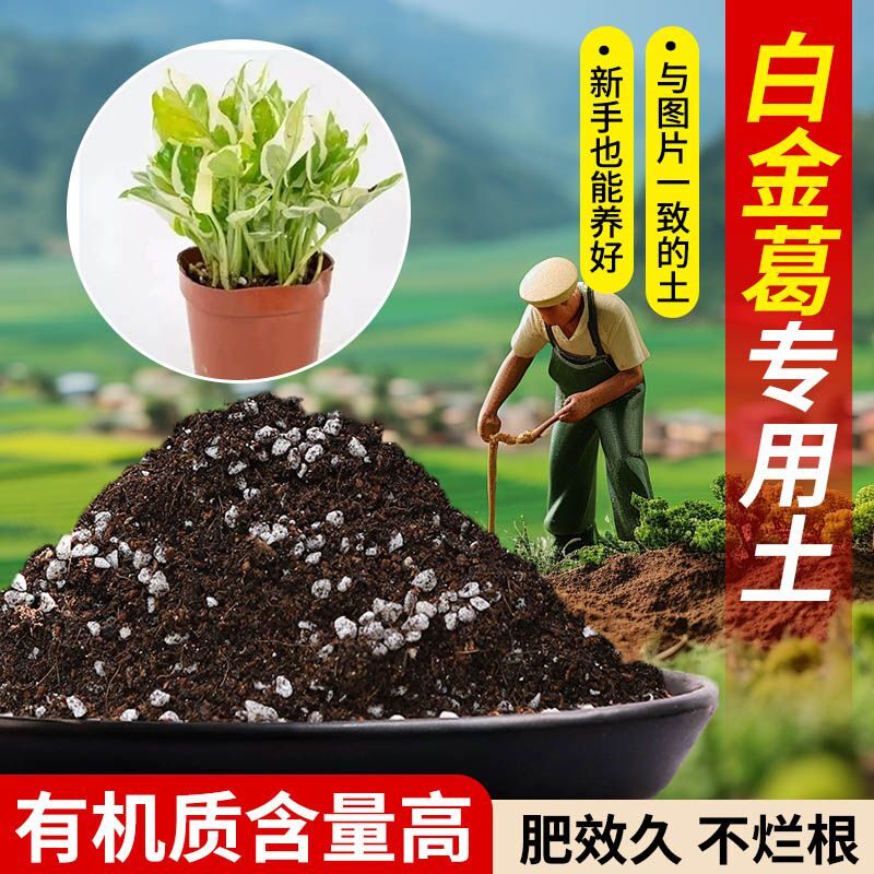 白金葛专用土营养土透气疏松含泥炭肥料通用有机种植土适用土轻质