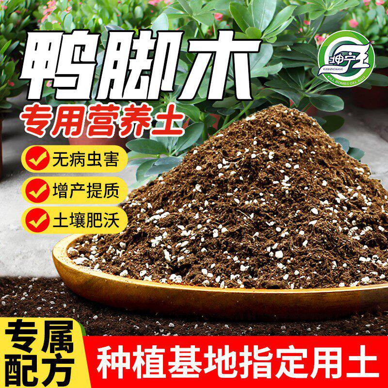 鸭脚木专用土鸭掌木营养土花土七叶莲土壤鸭爪木泥土种植土肥料