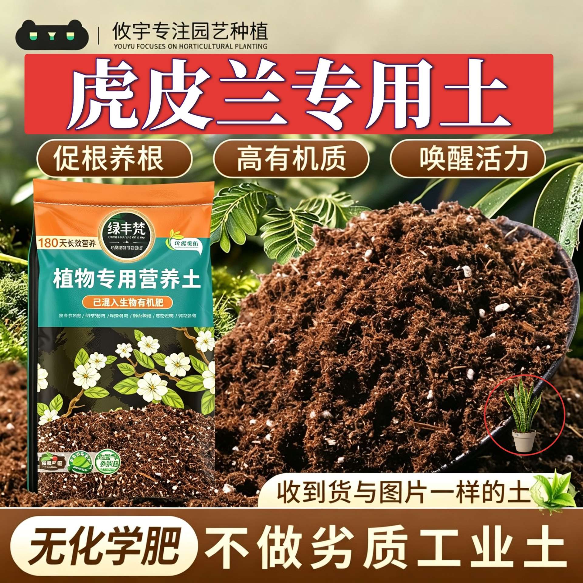 虎皮兰专用营养土改良土质盆栽种植土优质保水锁水实惠装观花种菜