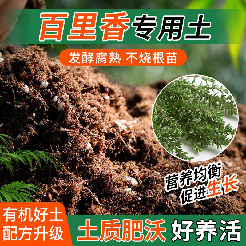 百里香专用土种植士营养土家庭阳台养花盆栽绿植轻质有机肥料土壤