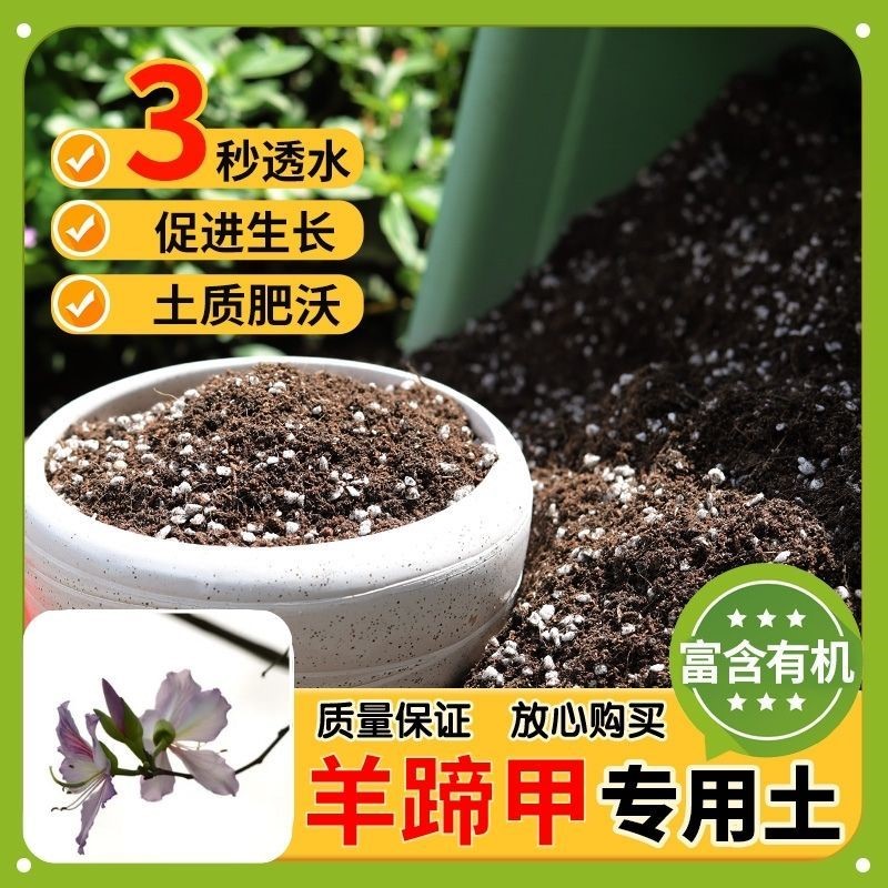 【羊蹄甲专用土】家用盆栽土加生根粉绿植专用有机植物营养肥料土