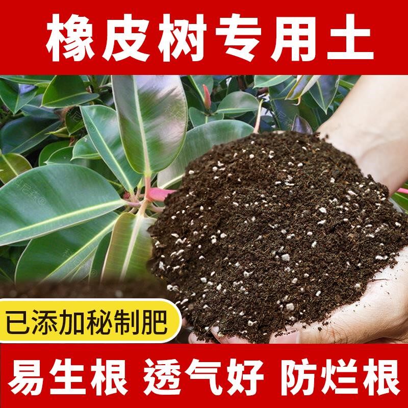 橡皮树专用土肥料橡皮树营养土花盆花卉绿植椰砖植物泥土盆栽土壤