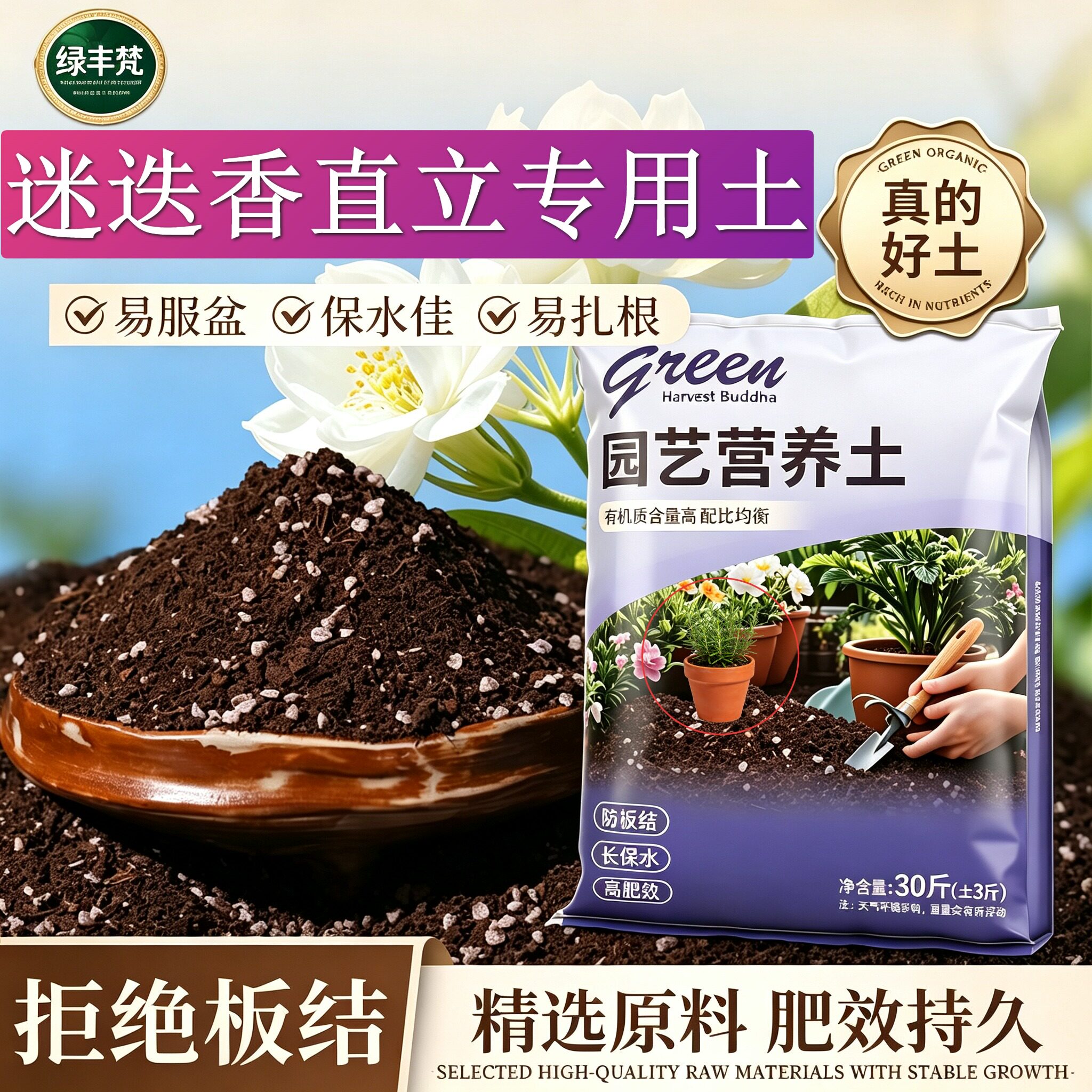 迷迭香直立适用含泥炭根壮苗好不烂根花园大包天然促生长木本盆栽