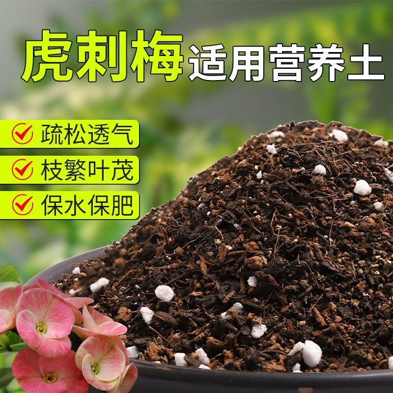 【虎刺梅专用土】疏松透气盆栽绿植专用室内植物有机营养土肥料