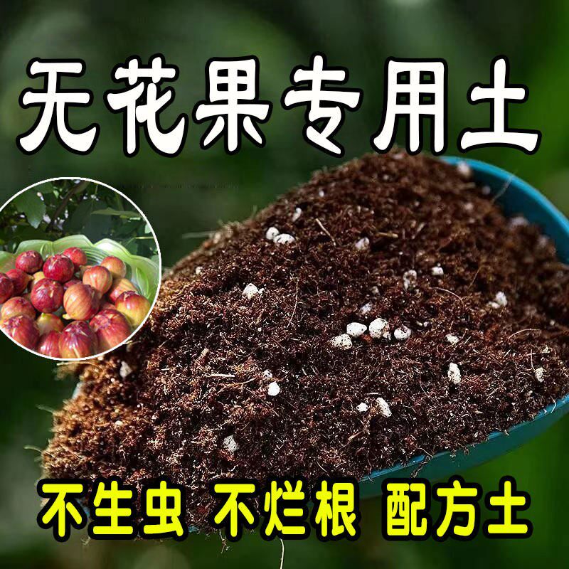 【无花果专用土】营养土家庭盆栽绿植室内植物肥料种植土