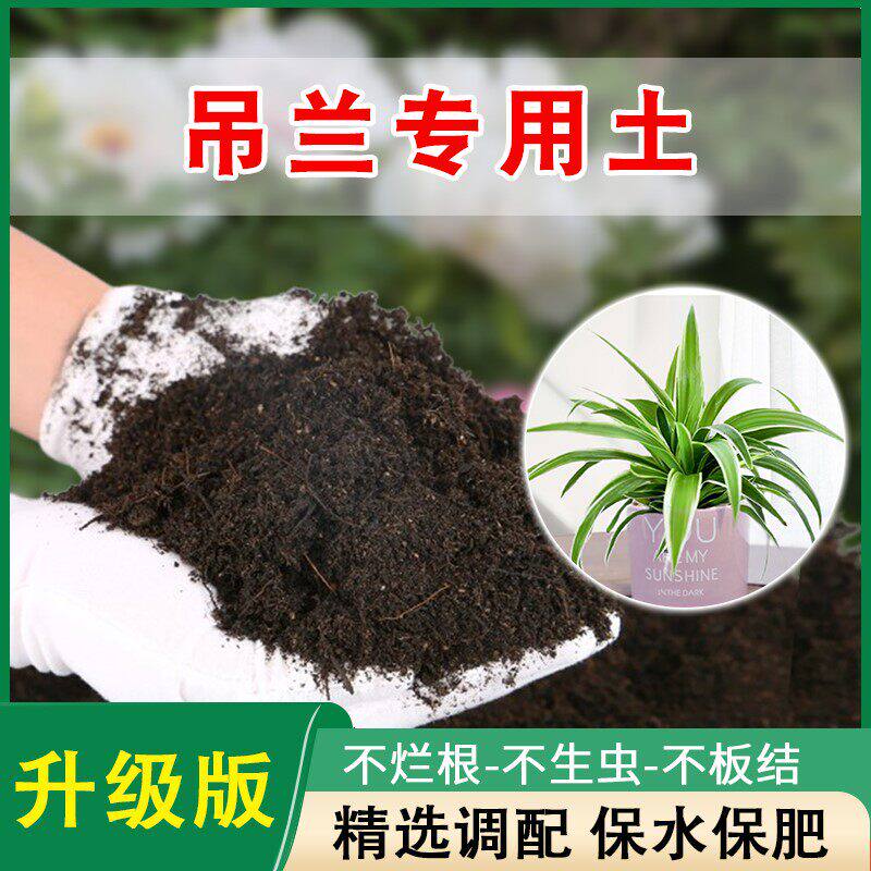 吊兰专用营养土花土种养金边油画金鱼吊兰专用土泥土肥料种植土壤