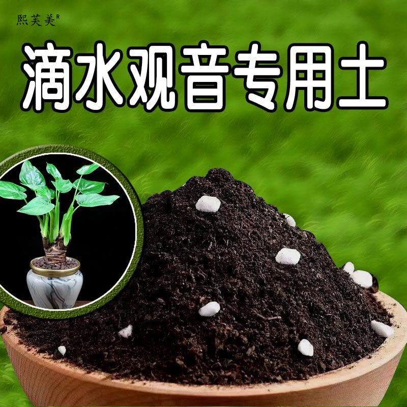 滴水观音专用土滴水观音营养土有机土壤绿植盆栽种花土种植土家用