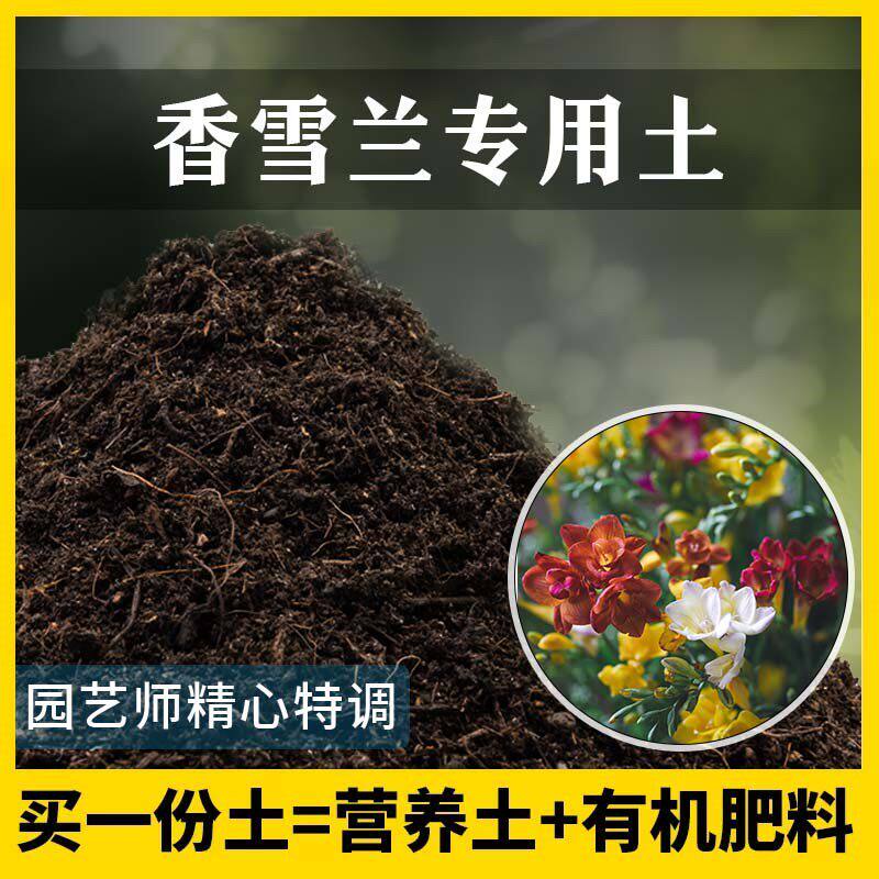 香雪兰专用土肥料家庭种花盆栽土香雪兰营养土花卉泥土养花种植土